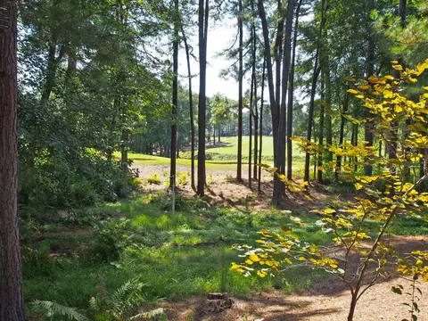 20 Oxton Cir, Pinehurst, NC 28374 photo 35