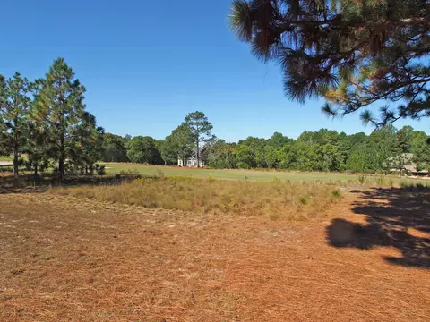196 Longleaf Dr, West End, NC 27376 photo 30