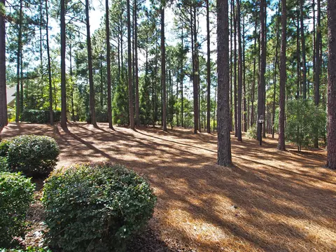 30 Pine Valley Cir, Pinehurst, NC 28374 photo 22