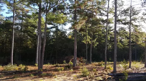 376 Nighthawk Loop, Aberdeen, NC 28315 photo 34