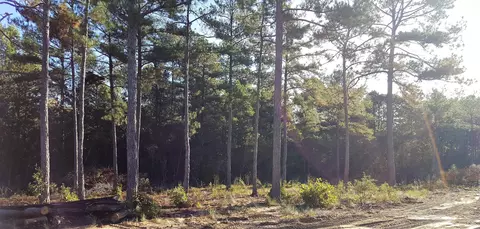 376 Nighthawk Loop, Aberdeen, NC 28315 photo 33