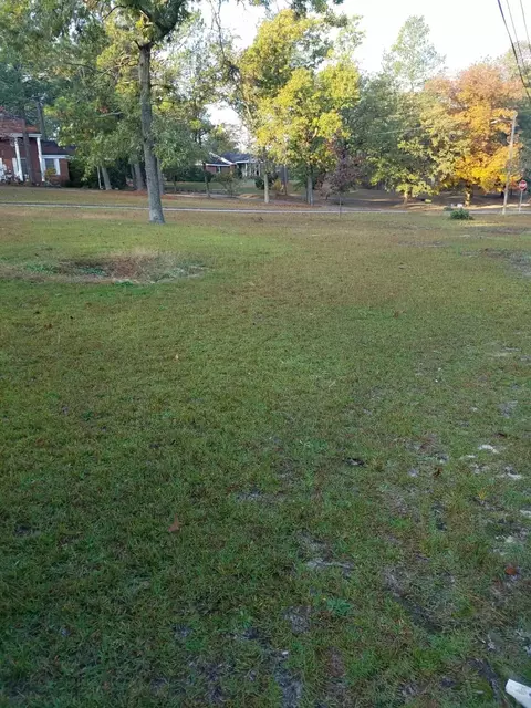 1204 Rollins Ave, Hamlet, NC 28345 photo 3