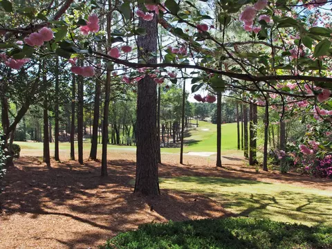 80 Braemar Rd, Pinehurst, NC 28374 photo 40