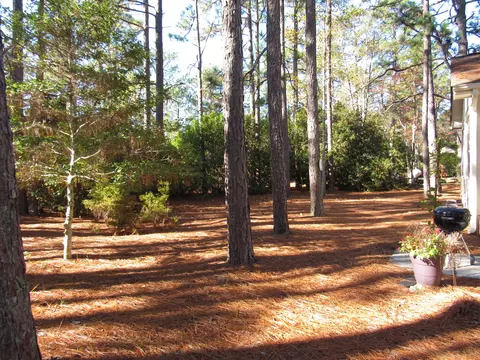 55 Salem Dr, Pinehurst, NC 28374 photo 33