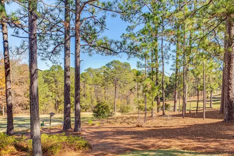 8 Sedgefield Ln, Pinehurst, NC 28374 photo 11