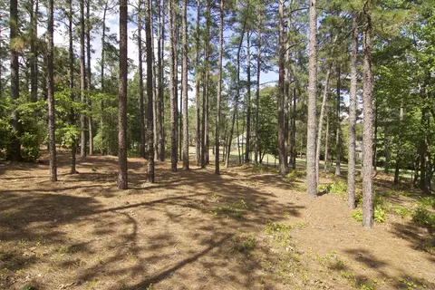 40 Pinewild Dr, Pinehurst, NC 28374 photo 10