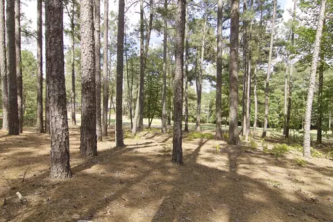 40 Pinewild Dr, Pinehurst, NC 28374 photo 7
