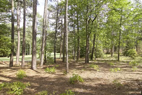 40 Pinewild Dr, Pinehurst, NC 28374 photo 11