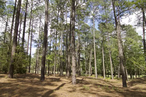 40 Pinewild Dr, Pinehurst, NC 28374 photo 17