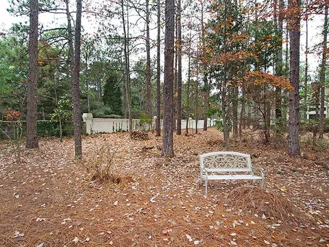 144 Deuce Dr, Pinehurst, NC 28374 photo 21