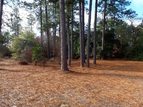 609 Pinehurst Trace Dr, Pinehurst, NC 28374 photo 41
