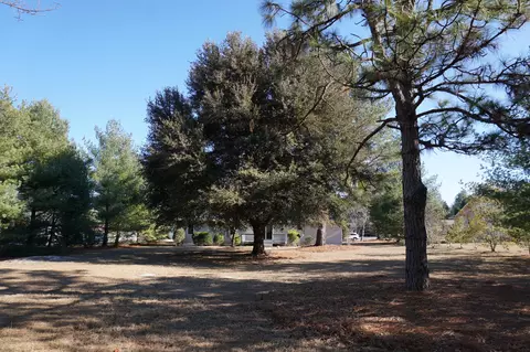 340 N Cherry St, Pinebluff, NC 28373 photo 28