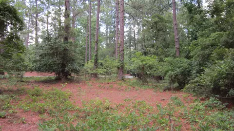 15 Quail Run, Pinehurst, NC 28374 photo 12