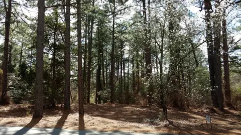 15 Quail Run, Pinehurst, NC 28374 photo 5