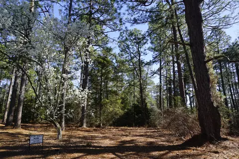 15 Quail Run, Pinehurst, NC 28374 photo 2