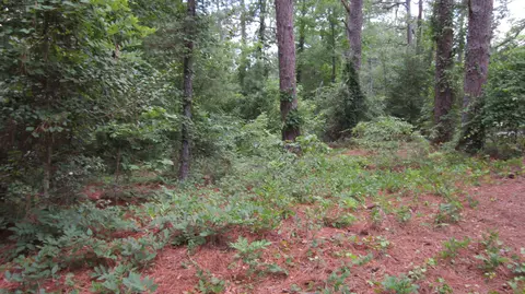 15 Quail Run, Pinehurst, NC 28374 photo 10