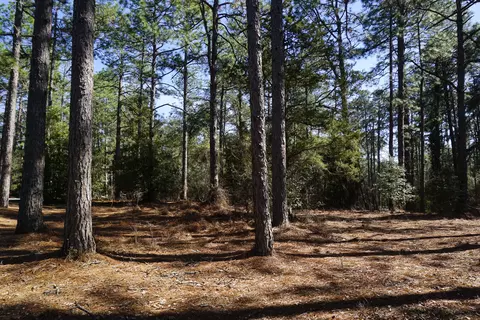 15 Quail Run, Pinehurst, NC 28374 photo 1