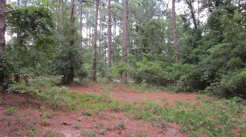 15 Quail Run, Pinehurst, NC 28374 photo 8