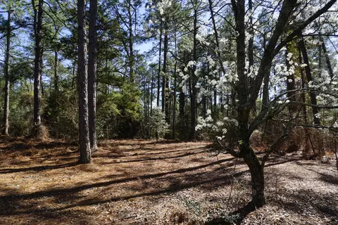 15 Quail Run, Pinehurst, NC 28374 photo 3
