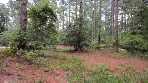 15 Quail Run, Pinehurst, NC 28374 photo 11
