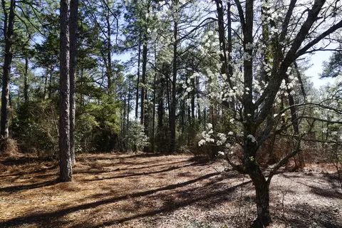 15 Quail Run, Pinehurst, NC 28374 photo 4