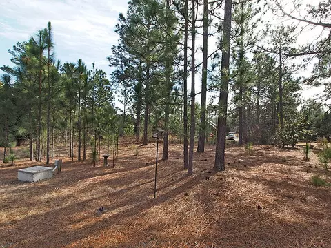 155 Longleaf Dr, West End, NC 27376 photo 22