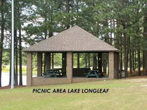 267 Firetree Ln, West End, NC 27376 photo 40