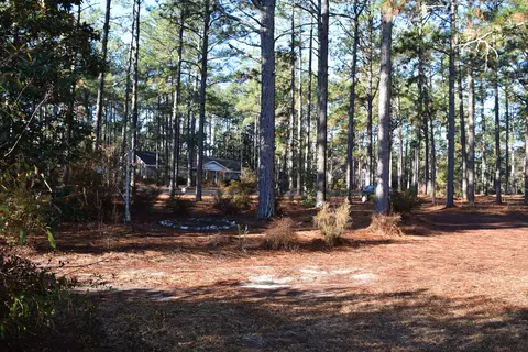 360 E Baltimore Ave, Pinebluff, NC 28373 photo 57