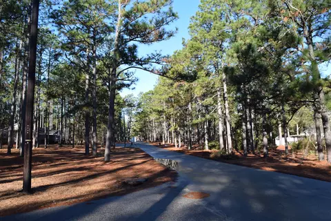 360 E Baltimore Ave, Pinebluff, NC 28373 photo 15