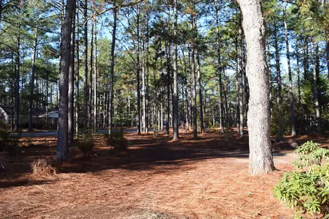 360 E Baltimore Ave, Pinebluff, NC 28373 photo 55