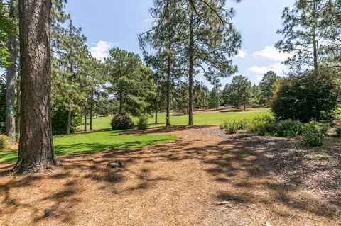 41 Whitehaven Dr, Pinehurst, NC 28374 photo 49