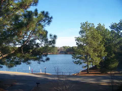113 Firetree Ln, West End, NC 27376 photo 7
