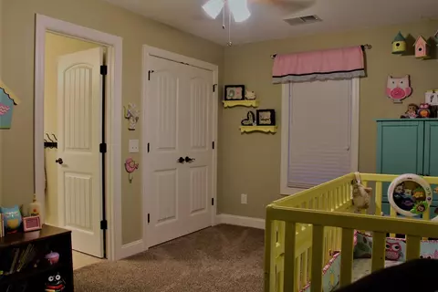 453 Read Rd, Cameron, NC 28326 photo 37