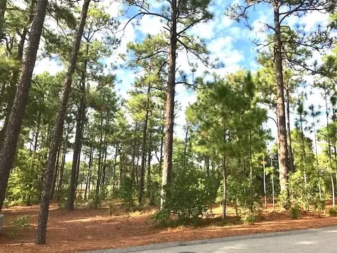 90 Brookhaven Rd, Pinehurst, NC 28374 photo 1