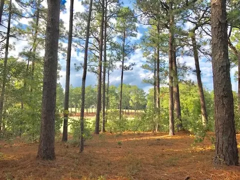 90 Brookhaven Rd, Pinehurst, NC 28374 photo 13