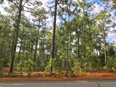 90 Brookhaven Rd, Pinehurst, NC 28374 photo 15