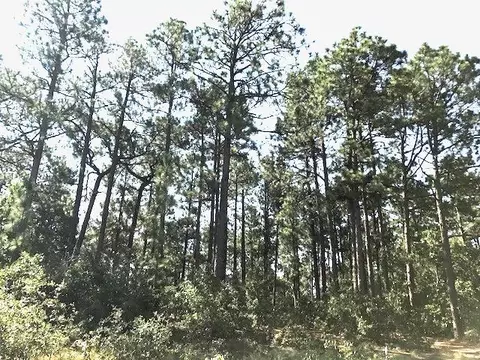 90 Brookhaven Rd, Pinehurst, NC 28374 photo 8