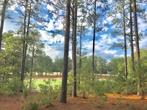 90 Brookhaven Rd, Pinehurst, NC 28374 photo 2