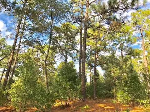 90 Brookhaven Rd, Pinehurst, NC 28374 photo 12