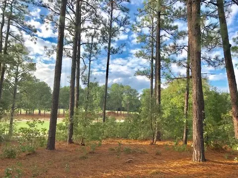 90 Brookhaven Rd, Pinehurst, NC 28374 photo 3