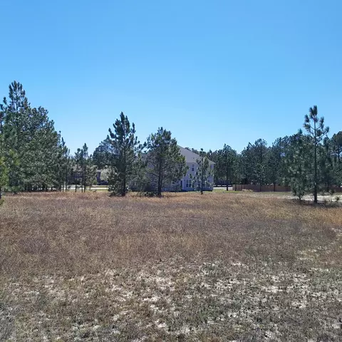 390 N Ridgecrest Dr, Pinebluff, NC 28373 photo 3