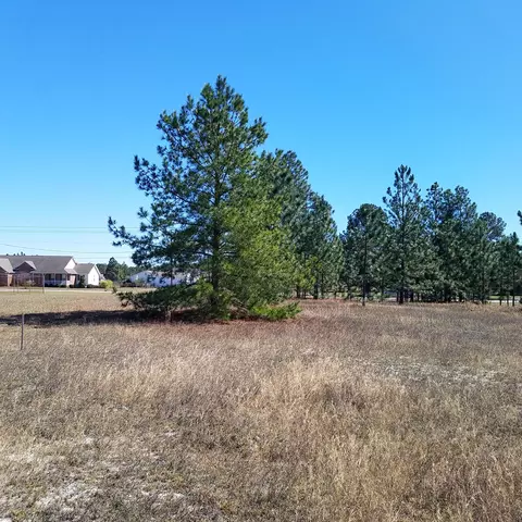 390 N Ridgecrest Dr, Pinebluff, NC 28373 photo 12