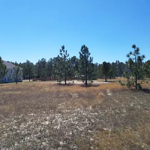 390 N Ridgecrest Dr, Pinebluff, NC 28373 photo 4