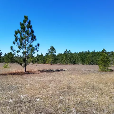 390 N Ridgecrest Dr, Pinebluff, NC 28373 photo 1
