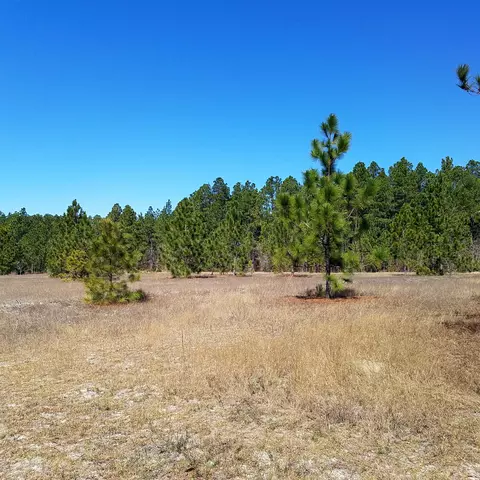 390 N Ridgecrest Dr, Pinebluff, NC 28373 photo 10