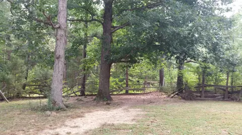 176 Wilbert Rd, Star, NC 27356 photo 18
