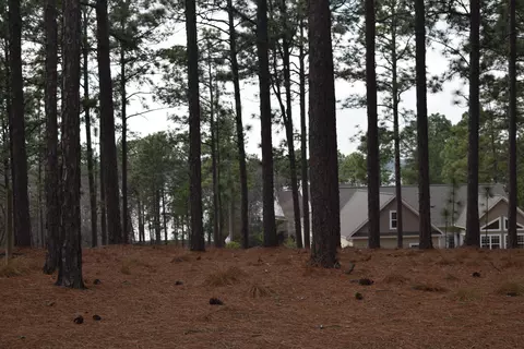 341 Longleaf Dr, West End, NC 27376 photo 31