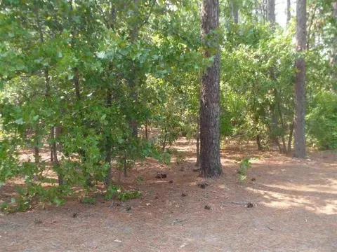 32 Dungarvan Ln, Pinehurst, NC 28374 photo 4