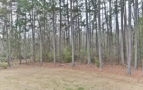 100 Tarheel Dr, Hamlet, NC 28345 photo 30