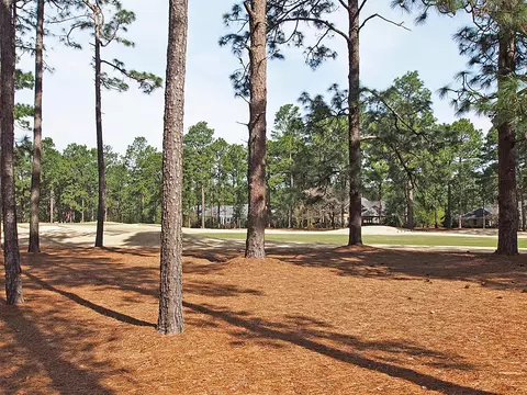 30 Lasswade Dr, Pinehurst, NC 28374 photo 49
